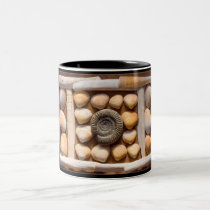shells and fossil mugs by nightsky shells and fossil mugs