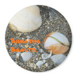 Shells and Sand, Breathe Beauty Fridge Magnets