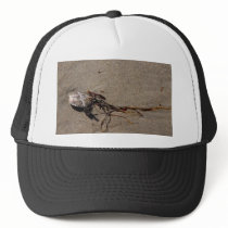 Shells And Seaweed hats