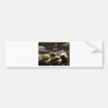 Shells and Shadows Bumper Stickers