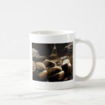 Shells and Shadows Mugs
