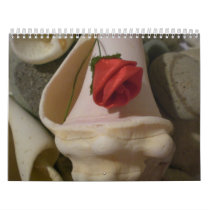 SHELLS AND STONES WALL CALENDARS