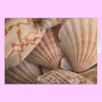 Shells Blank Card