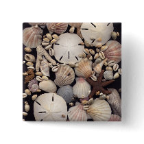 Shells buttons