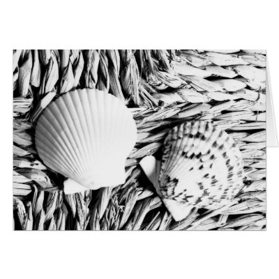 Shells Card by theviewuphere