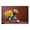 shells & chrysanthemums posters by VioDePhoto shells & chrysanthemums posters