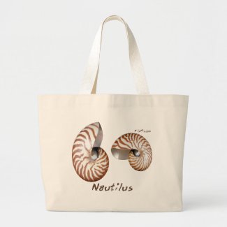 Shells Collection by FishTs.com bag