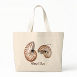 Shells Collection by FishTs.com