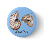 Shells Collection by FishTs.com