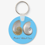 Shells Collection by FishTs.com