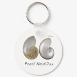 Shells Collection by FishTs.com