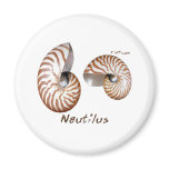 Shells Collection by FishTs.com