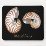 Shells Collection by FishTs.com