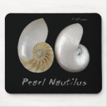 Shells Collection by FishTs.com