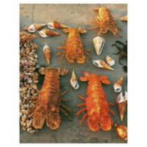 Shells flyers