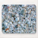 Shells, Fort Myers Beach, FL. mousepads