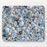 Shells, Fort Myers Beach, FL. Mouse Pad