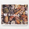Shells - GalleryPlayer, S.H.E.L.S. mousepads