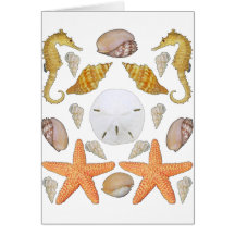 Shells Galore Cards
