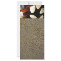 Shells Glazed Rack Card Design
