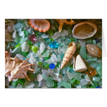 Shells Greeting Cards