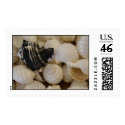 Shells I postage by dangerphoto Shells I postage