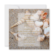 shells ii Invitation invitation