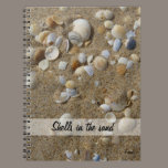 shells in the sand notebooks