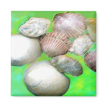 Shells magnets