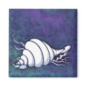 Shells Magnet