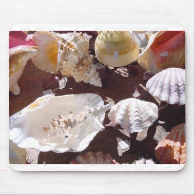 Shells Mouse Mats by WeforRoxte