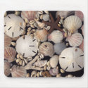 Shells mousepads by dndartstudio Shells mousepads