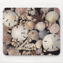 Shells mousepads by dndartstudio Shells mousepads