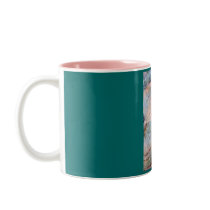 Shells mugs
