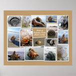 Shells of Daufuskie Island, SC Posters