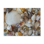 Shells Of Sanibel Post Card