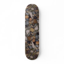 Shells of the World Shell Skateboard Deck