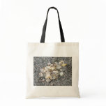 Shells On A Cornish Beach Canvas Bag