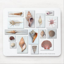 Shells on White mousepads by jerryjindrich Shells on White mousepads