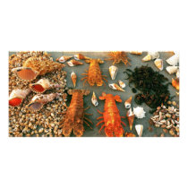 Shells Custom Photo Card