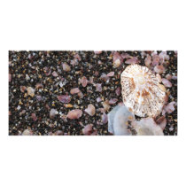 Shells Custom Photo Card