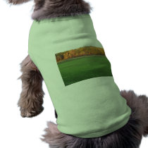 Shell's Pics pet clothing