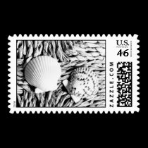 Shells stamps