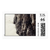 shells postage by absolutpretty shells postage