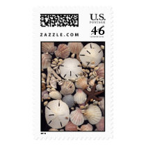 Shells postage by dndartstudio Shells postage