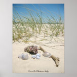 Shells Poster
