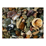 Shells, Rocks and Coral Beach Nature Theme Poster