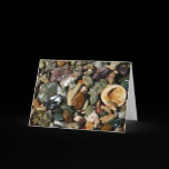 Shells, Rocks and Coral Card