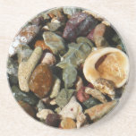 Shells, Rocks and Coral Coaster