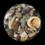 Shells, Rocks and Coral Magnet